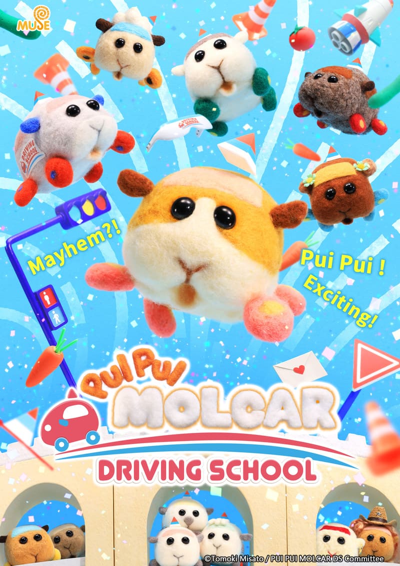 PUI PUI MOLCAR DRIVING SCHOOL